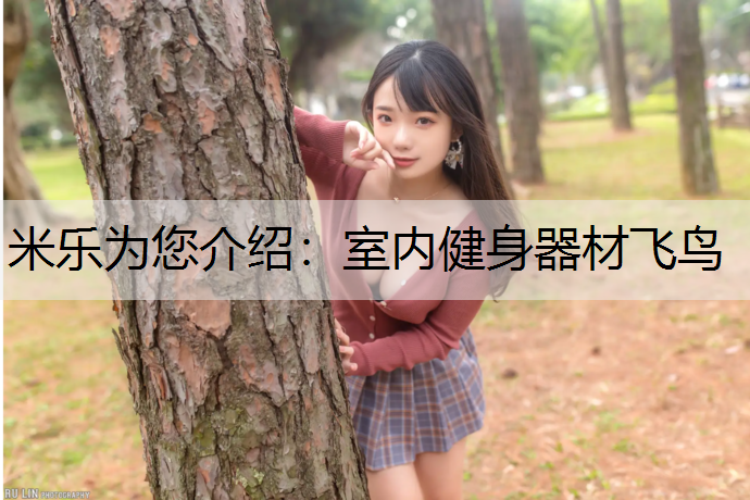 米乐为您介绍：室内健身器材飞鸟