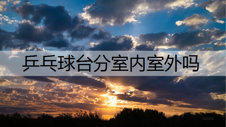 <strong>乒乓球台分室内室外吗</strong>