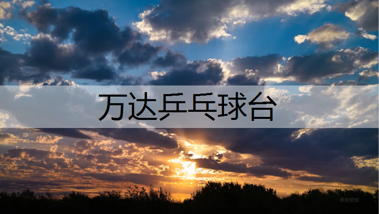 <strong>万达乒乓球台</strong>