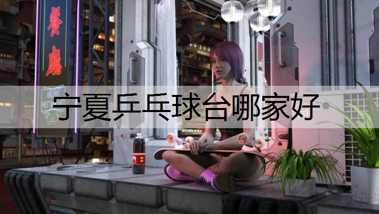 宁夏乒乓球台哪家好