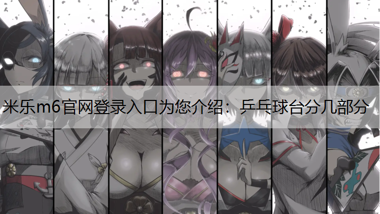 乒乓球台分几部分