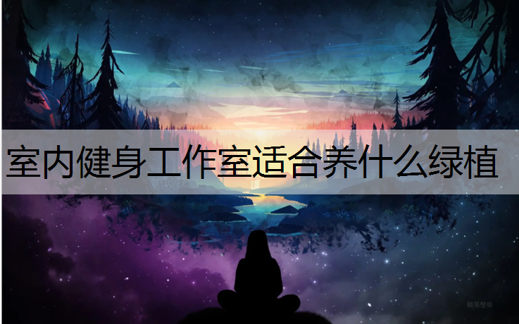 室内健身工作室适合养什么绿植