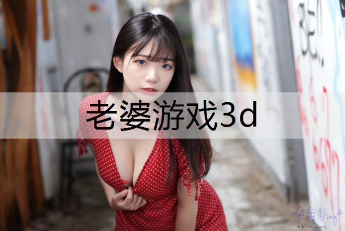 老婆游戏3d